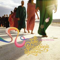 The Polyphonic Spree : Together We're Heavy